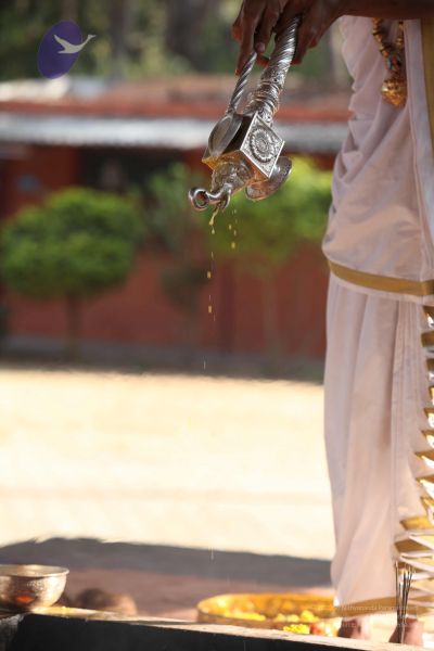 File:20111217 Photo 1423 1W9By7n1qngjfVAK5ugIKozpXi41a5QK0.JPG