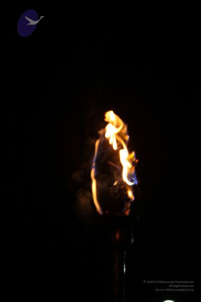 File:20111217 Photo 1659 12t73ATMTkbwhe3qlScG7dZZbuJq7Opfa.JPG