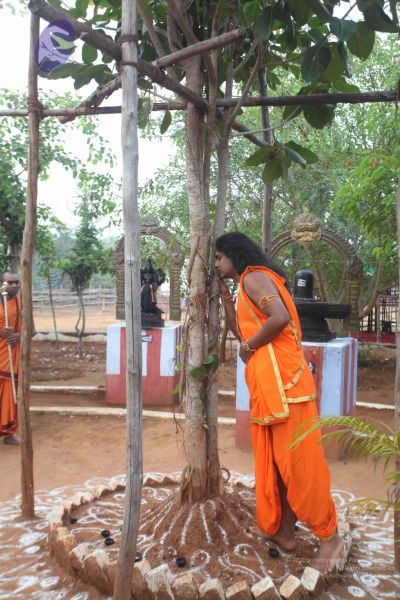 File:20111219 Photo 1016 1v9wQVE2RdQRTEOP souTUsQ7DYegM80a.JPG