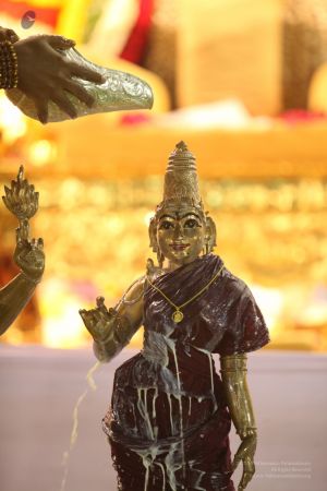 20111220 IMG 0499-41001.jpg