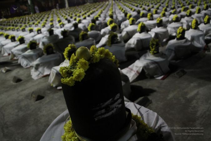 20111220 IMG 3527-98001.jpg