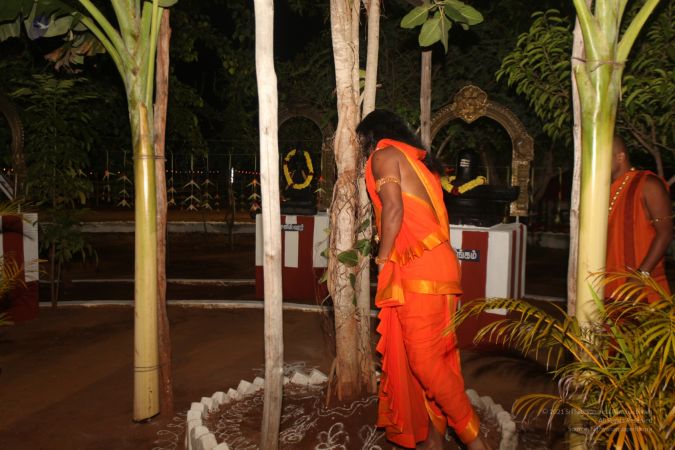 20111220 IMG 7809-18001.jpg