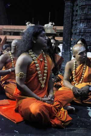 20111220 IMG 7902-54001.jpg