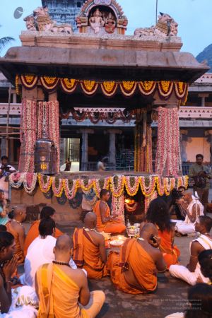 20111220 IMG 8042-177001.jpg