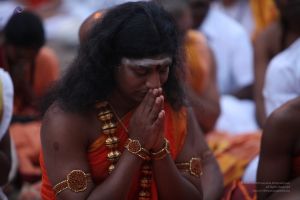 20111220 IMG 8168-294001.jpg