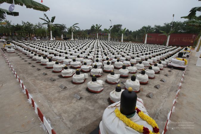 20111220 IMG 8480-532001.jpg