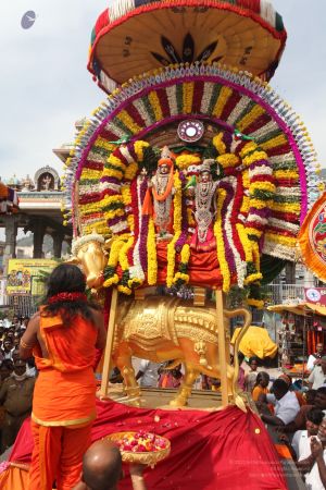 20111220 IMG 8627-90001.jpg