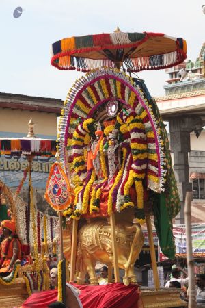 20111220 IMG 8964-63001.jpg