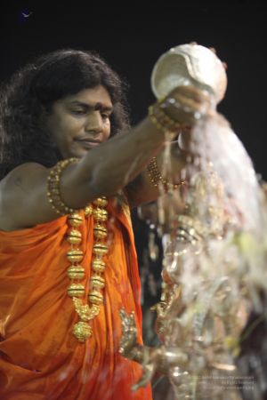 20111220 IMG 9555-110001.jpg