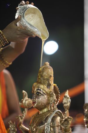 20111220 IMG 9577-132001.jpg