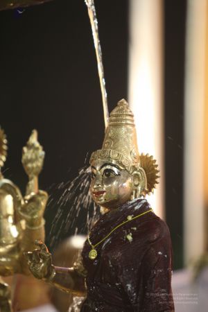 20111220 IMG 9610-165001.jpg