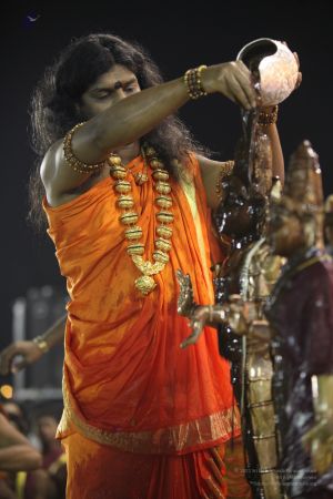 20111220 IMG 9645-200001.jpg