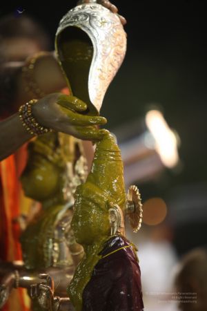 20111220 IMG 9664-219001.jpg