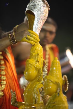 20111220 IMG 9679-234001.jpg