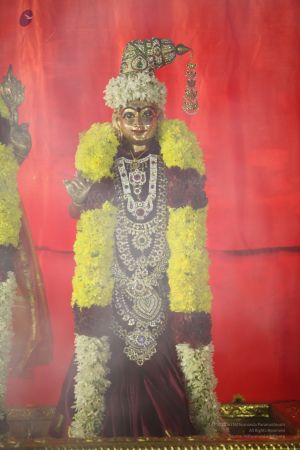 20111220 IMG 9778-329001.jpg