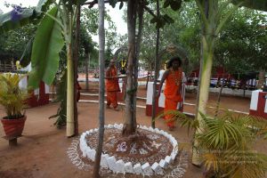 20111221 Photo 1067 1YRFcmZtw1tbKNrEFyAmtyLicHtzsU1SX.JPG