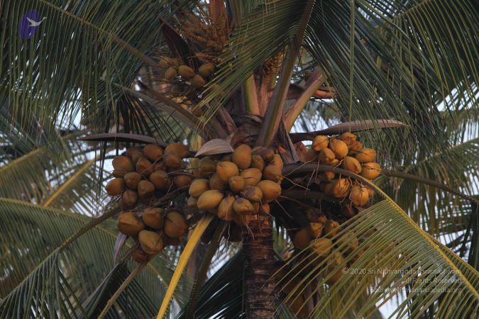 20111222 Photo 1011 1iZ4QKAM k29HbUhdWghG5hv-i6nfcPQg.JPG