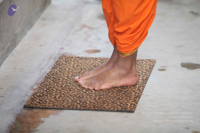 File:20111222 Photo 1022 1Tal0I3SIWzS0XXCX 5paZCVA3IOh0UfN.JPG