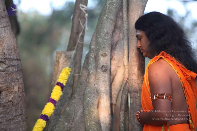 File:20111222 Photo 1036 1CU8h5r9Jl5fRSF7n0L1p-RvuX1QvkCRE.JPG