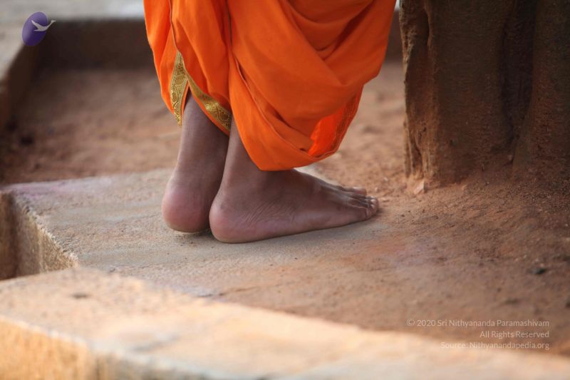 File:20111222 Photo 1039 137jKk9P8myfF3fMoHFW0IfPJ7cekj5ti.JPG