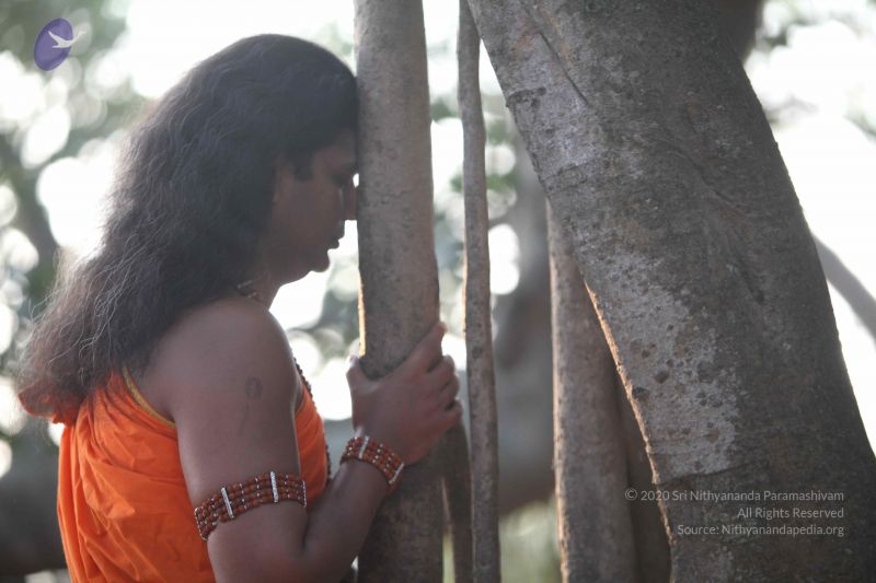 File:20111222 Photo 1041 1eKe9dSes4 JVimIEhfaWilK7QW8JKkLZ.JPG