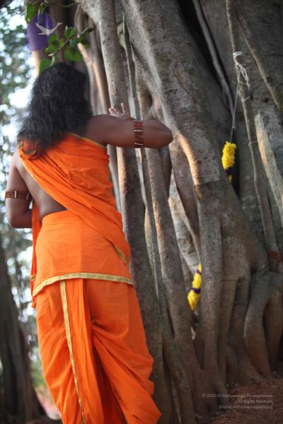 File:20111222 Photo 1042 1Qb-EBi1Ea4T6VlD0E3lcGd7VFYC1PQdq.JPG