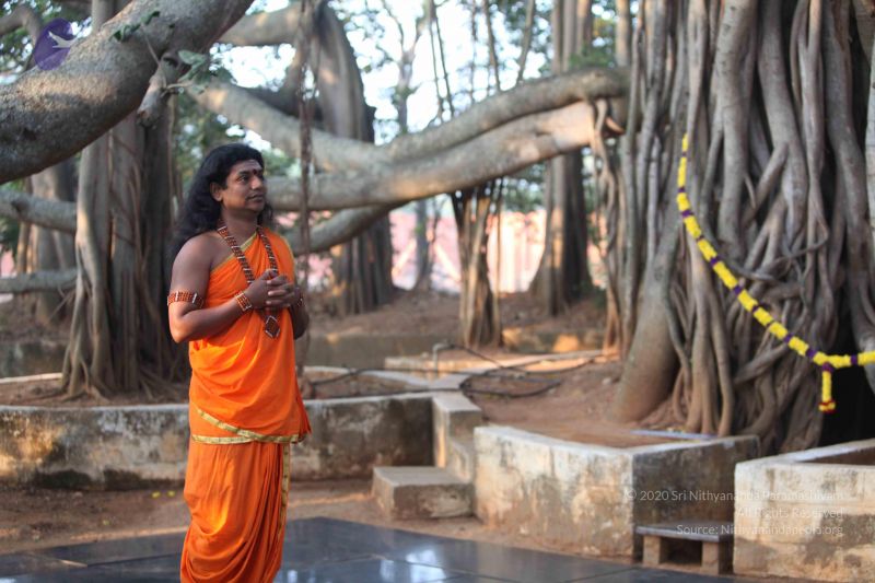 File:20111222 Photo 1044 1skK-p5Dwi0JGuS01WfI5mUFlmopShHn9.JPG