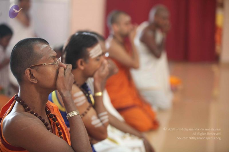 File:20111222 Photo 1293 1zluHBbFPNzVSA259q3v4lQiwdkksAkMS.JPG