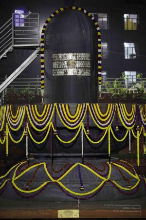 20111222 Photo 1327 1U3yjVHcJ0zKa9do1CmhsMmUSho2L19Qo.JPG