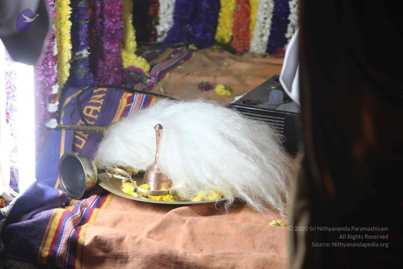 File:20111222 Photo 1336 1l rhdy7nRFDSk5DezmP9ULoWWJYbK8Lv.JPG