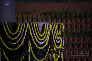 20111222 Photo 1338 1XJbB7HCs7nrpoY5iMpM7Is0W6qWpWxeY.JPG