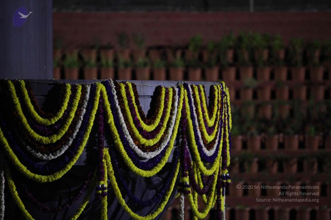 20111222 Photo 1338 1XJbB7HCs7nrpoY5iMpM7Is0W6qWpWxeY.JPG