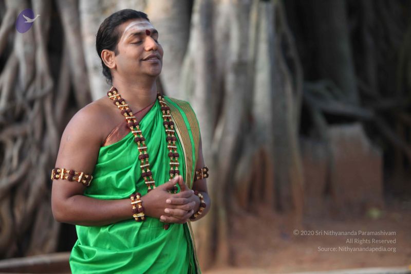 File:20111223 Photo 1001 1eRhamZyv8ILX9wsbdJbT8d4aIDEMBW7h.JPG