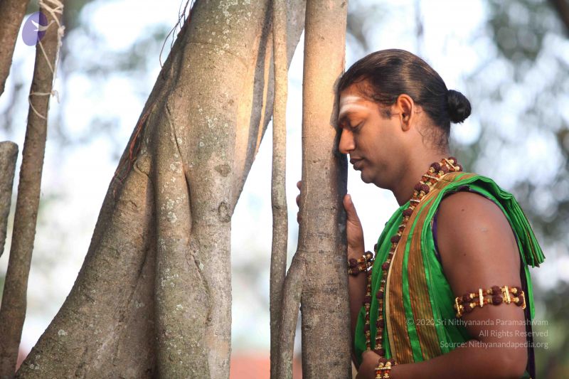 File:20111223 Photo 1004 16IN3uctDF5iGZqENKYDQ8GknH58zJ2VL.JPG