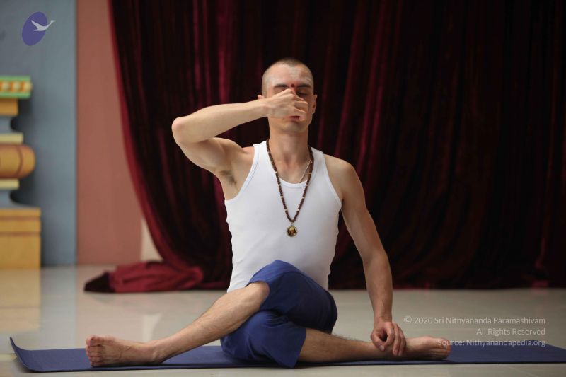 File:20111223 Photo 1142 1lF9HgD73Pd45sbxl5sADHBpS3inJ~mO.JPG