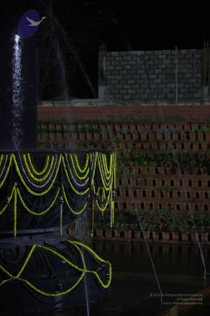 20111223 Photo 1198 1nA3XtggGclLLl4cEfVY8OwWVvwGq8ZsN.JPG