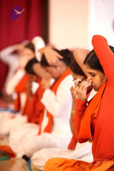 File:20111225 Photo 1060 1e7vkpwtdpZPWTDymJmyhc-qFONjkTOQr.JPG