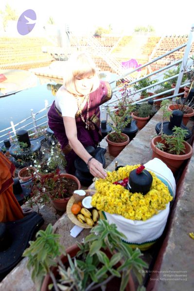 File:20111225 Photo 1075 12PTbIy6SgMfNQbQtPOB4uZlPg sizoDk.JPG