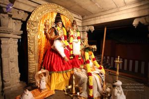 20111227 Photo 1004 1YpP4Br6catafDVxq0UQLq FxFDjg9NHv.JPG