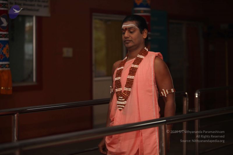 File:20111227 Photo 1040 1ikofxyb aD70zqhaFTlBWpAMTDlAKWVG.JPG