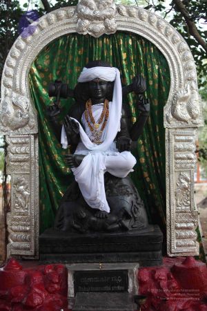 20111227 Photo 1053 1zLc-f98u23wojXQG9MBDrKzxP4j79qY0.JPG