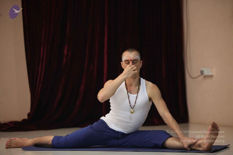 File:20111227 Photo 1192 1QC2Q-vMuQjUdJeMbuiFheHQsua4pE6ow.JPG