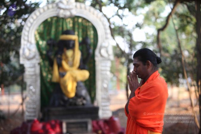 20111228 Photo 1005 19dWy3nKRT-rnN8lEet5EUIcrqIuXay81.JPG