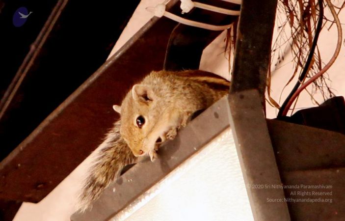 20111228 Photo 1131 1dAnB3bKBFOTUBtBTVT4RhktaQH3m6BDN.JPG