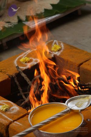 20111228 Photo 1153 1ZWxJoiGmLomoIaFZ84NG5ZimwlpowYSm.JPG