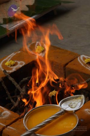 20111228 Photo 1154 1K2pO5mFRgKUMl4d6WM5YRaHgLdBVDAW-.JPG