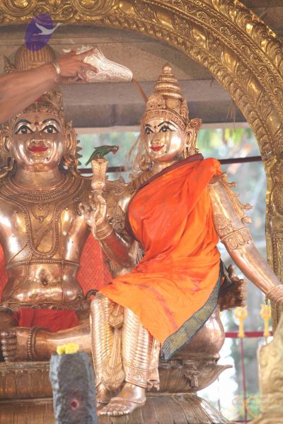 File:20111228 Photo 1218 1GaW0l8jac7wdCN6AJxe ow7QdiOF6m-4.JPG