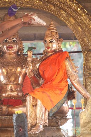 20111228 Photo 1219 1dOvKT5kJc 02hwxY2i-n6S8tIna92GTH.JPG