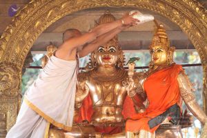 20111228 Photo 1246 1trwCTtFLusp34gRUnt-q0HWUkXaLPlrN.JPG