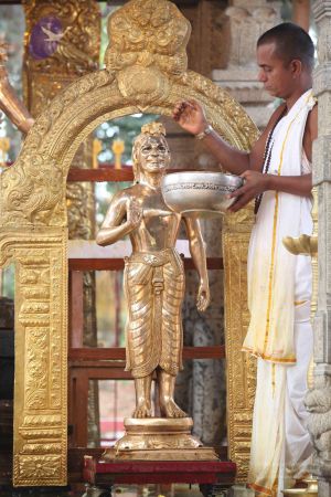 20111228 Photo 1311 1 18H3KWDJXTItpNB3U5QbjmZNHI-2KO8.JPG